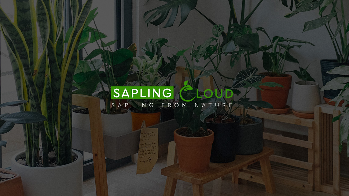 Sapling-cloud
