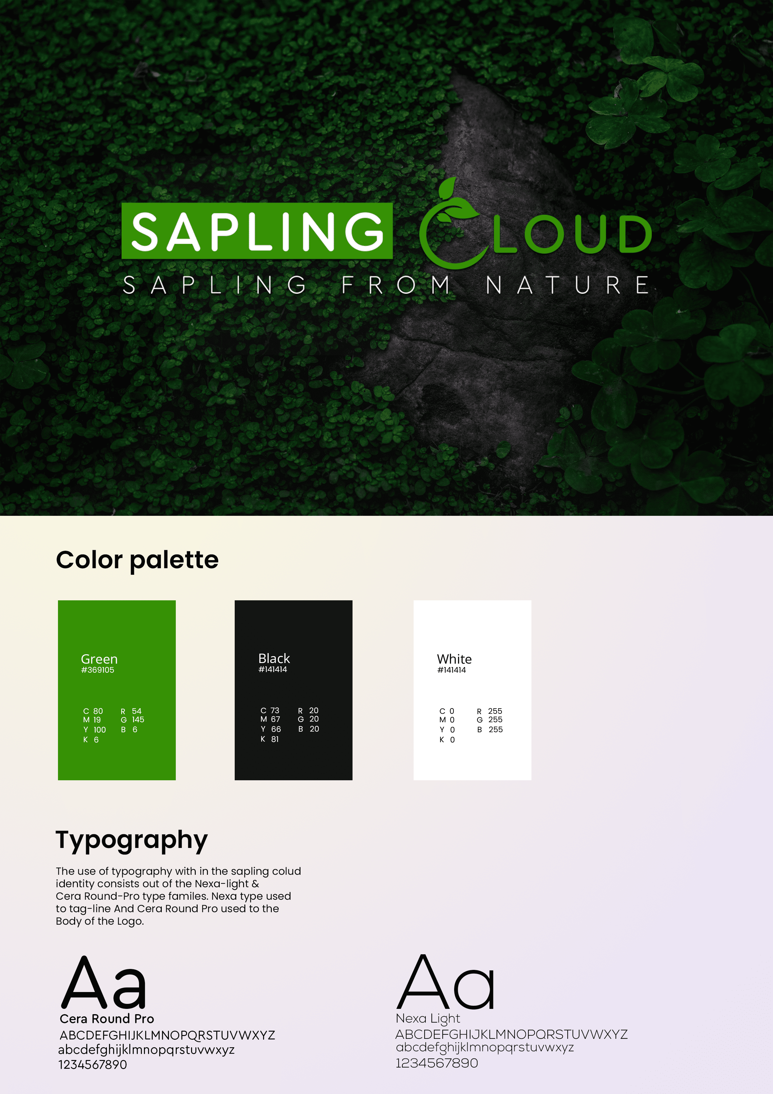 Typography & Color Palette
